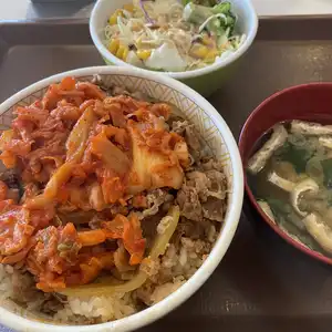 すき家 松阪嬉野店の写真