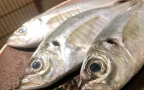 魚と酒はなたれ 戸塚店