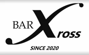 BAR Xross