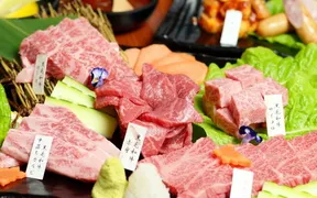 焼肉七つ星 淀屋橋平野町店