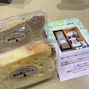 のら猫Chayaの写真
