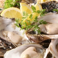 oyster market 五反田 カキイロハの写真