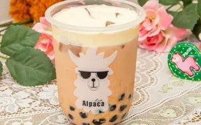 alpaca tea