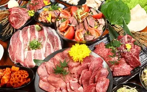 大阪焼肉 まほろ 心斎橋本店