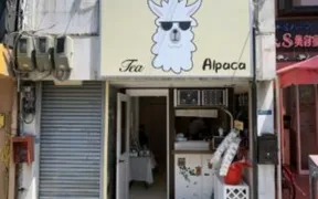 alpaca tea