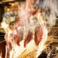 藁焼き鰹たたき明神丸 松山二番町店の写真