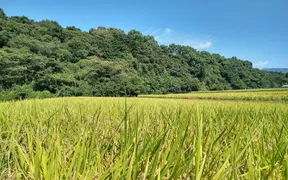 おにぎり専門店 米家