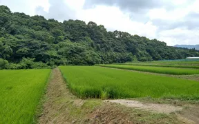 おにぎり専門店 米家