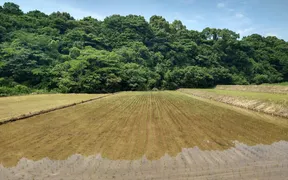 おにぎり専門店 米家