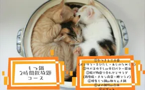 猫にこ飯