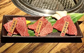 焼肉ブリッヂ エキアプレミエ和光店