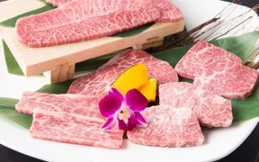 炭火焼肉 幻