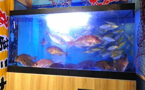 個室完備 海鮮居酒屋 北海道 魚鮮水産 千葉駅西口店