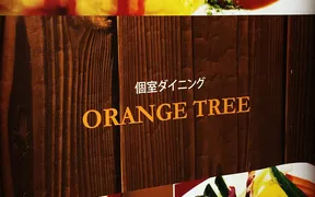 オレンジツリー