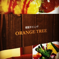 オレンジツリーの写真
