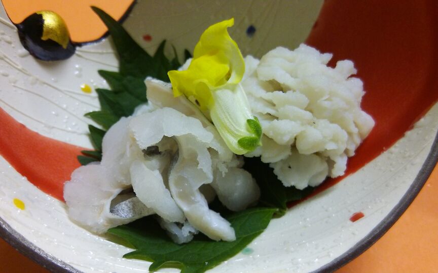 和匠 よし乃 兵庫県洲本市大野 日本料理 海鮮料理 牛肉料理 和食 その他 Paypayグルメ