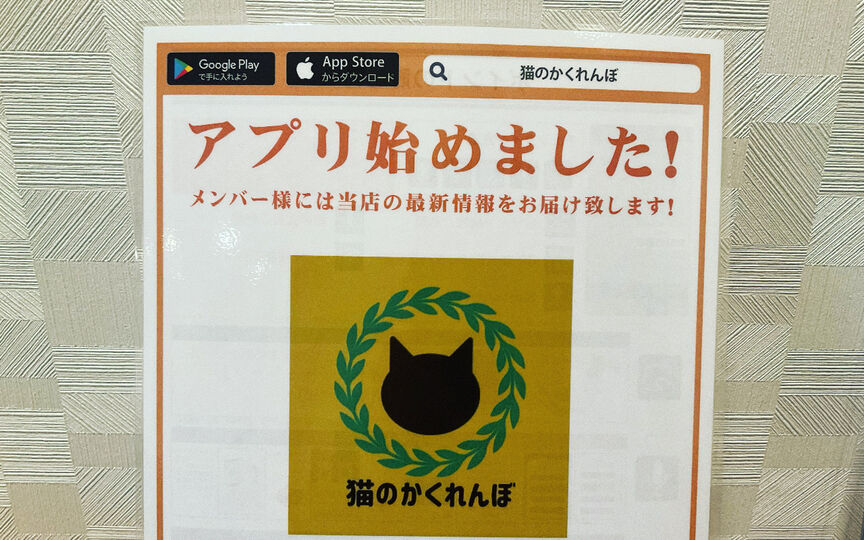 猫のかくれんぼ 神奈川県平塚市見附町 カフェ カフェバー 喫茶店 和風居酒屋 Paypayグルメ