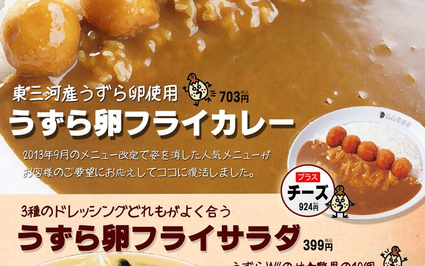 カレーハウスcoco壱番屋豊橋岩田店 愛知県豊橋市平川本町 カレー Paypayグルメ